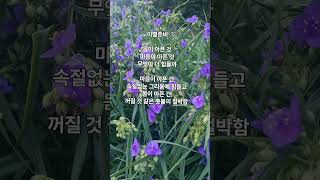 이별준비(BGM 다섯손가락_새벽기차)336#영상시