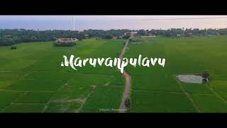 Maruvanpulavu Ariel View | Jaffna vlog | Chavakachcheri | Thamizh | Village