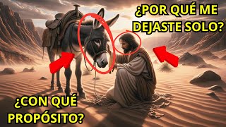 el BURRO que se QUEJO con DIOS [NUEVO 2024]🙏🙏🙏 Una historia para reflexionar.