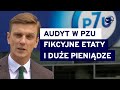 Tajemnicze stanowiska i rachunki paliwowe. O audycie w PZU [