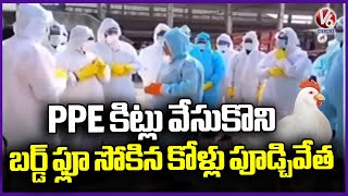 Bird Flu Virus In AP | Bird Flu Confirmed In Poultry Farms At Velpur | V6 News