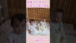 双子のシンクロいないいないばあっ！ #0歳 #baby#twins #shorts