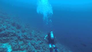 GOPR0011 Sucking air at over 120 post white tip shark encounter