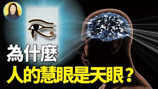 人的慧眼在哪裡？