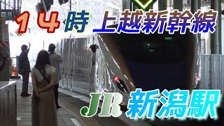 【新潟駅】14時台の上越新幹線　2022/7/24