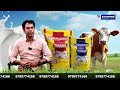 RGS Feeds - Kamadhenu Proplus, Kamadhenu Prorich