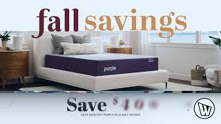 FALL SAVINGS TV30 MATT