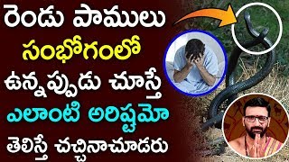 రెండు పాములు సంభోగం లో ఉన్నప్పుడు చూస్తే ఎంత పెద్ద అరిస్తామో తెలుసా ? | Astro Syndicate