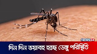 ফরিদপুর ও পটুয়াখালীর ডেঙ্গু পরিস্থিতির খবর সরাসরি | Dengue update | Patuakhali | Faridpur | News24