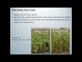 ranch management forum 2021 everything poly crops