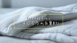 タオルの間に何かいる！《 Hedgehog diary やすじろうの日常#51 》