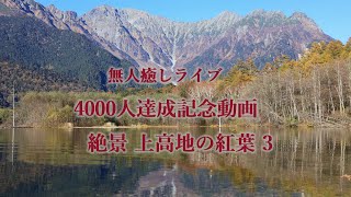 無人癒しライブ 絶景上高地の紅葉 3　Kamikochi　#絶景　#上高地　#紅葉 #河童橋 #大正池#明神橋