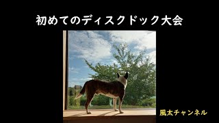 初めてのディスクドック大会