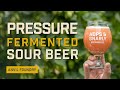 Kveik Pressure Fermentation Fruited Sour Beer Recipe | Anvil Foundry | EP31