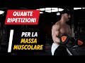 Quante ripetizioni per la MASSA MUSCOLARE?