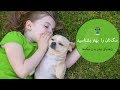 چگونه زبان بدن سگ را بفهمیم ؟ ۱۴ راهنمایی برای درک بهتر سگها