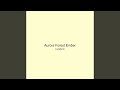 Aurora Forest Ember