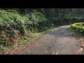 riding through the seethargundu poabs tea estate nelliyampathy part 2