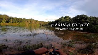 GASAK HARUAN SAIZ IDAMAN | STRIKE KELI ON TOPWATER ! - #v70