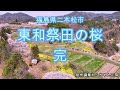 2024 4 14東和祭田の桜