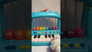 Super Unique Hippo Pop Piano #shorts #hippo #popmusic #trending #unique