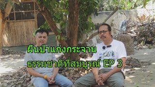 ผืนป่าแก่งกระจานธรรมชาติที่สมบูรณ์ EP 3