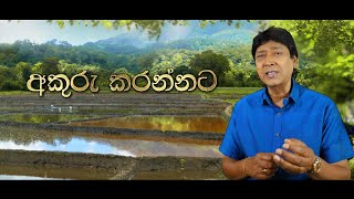 Keerthi Pasquel - 40.Akuru Karannata (අකුරු කරන්නට) Official Lyric Video