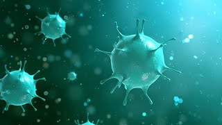 Flu a bigger concern to local health officials than coronavirus