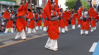 江戸の華／東口A会場／第13回浦和よさこい2016