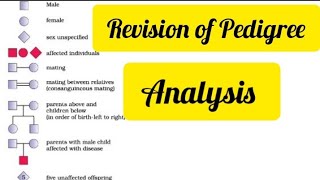 Pedigree Analysis| Class 12| Biology NCERT| NEET