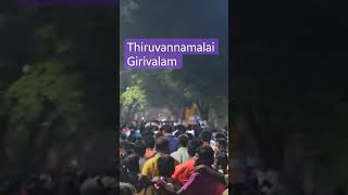 Thiruvannamalai Girivalam During Maha Shivarathiri 2024  - Around 15 lakhs People came for Girivalam