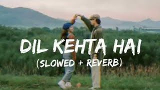 dil kehta hai (slowed+reverb)#feelthebeats❣️#lofi #lofimusic #song #lndia