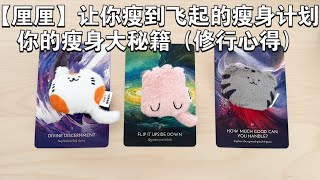 塔罗 | 让你瘦到飞起的瘦身计划 你的瘦身大秘籍（修行心得）