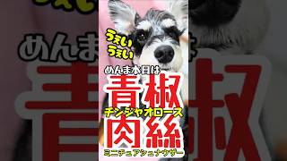 【しゃべる犬】チンジャオロース青椒肉絲！激ウマ手作り犬ごはん！【ミニチュアシュナウザー】　#犬ごはん#めんまのへや#シュナウザー