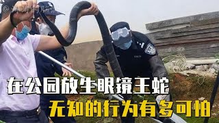 奇葩的放生方式，不但没行了好而且还造了孽，无知的行为有多可怕