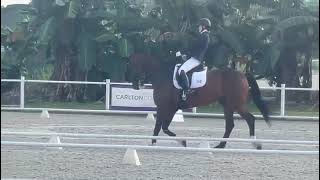 2nd - 66% - Bukit Timah Saddle Club - 3rd Level, Test 1 - 2024