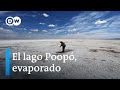 Los urus de Bolivia sufren la desaparición del lago Poopó