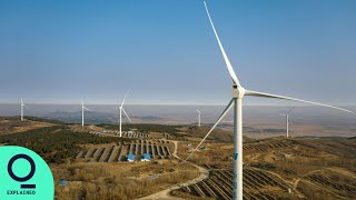 Investment in the Low-Carbon Energy Transition