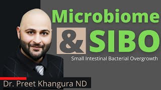 Gut Microbiome Explained: SIBO, Leaky Gut, and IBS #podcast