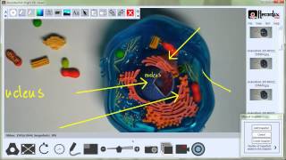 Learn XSight: 22 - Snapsets