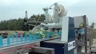 CAS Spring onion processing line with binding