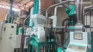 30tpd maize mill lila +86 13933050153