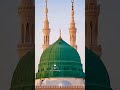 Mere sarkar aaye new eid milad un nabi whatsapp status 2022 🇸🇦