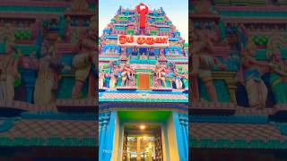 Chennai Famous Vadapalani Murugan Temple | Murugan Songs #murugan #song #shorts #thelastcholas