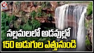 Another Beautiful Waterfall Found In Nallamala Forest  | Pedda Cheruvu  | V6 News