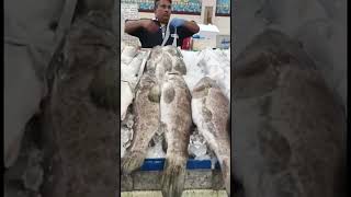 Big Hammor and Pomplet in kuwait fish market…