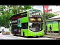 discovery buses in singapore 69 service 123 simple but complicated