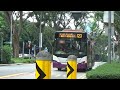 discovery buses in singapore 69 service 123 simple but complicated