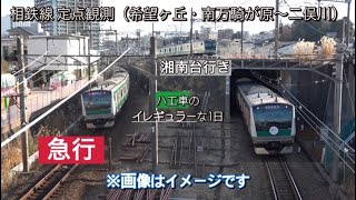 【終日池袋行き】相鉄線 希望ヶ丘・南万騎が原〜二俣川 定点観測