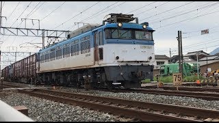 【JR貨物】 EF81形電気機関車 《EF81-501 門司機関区》